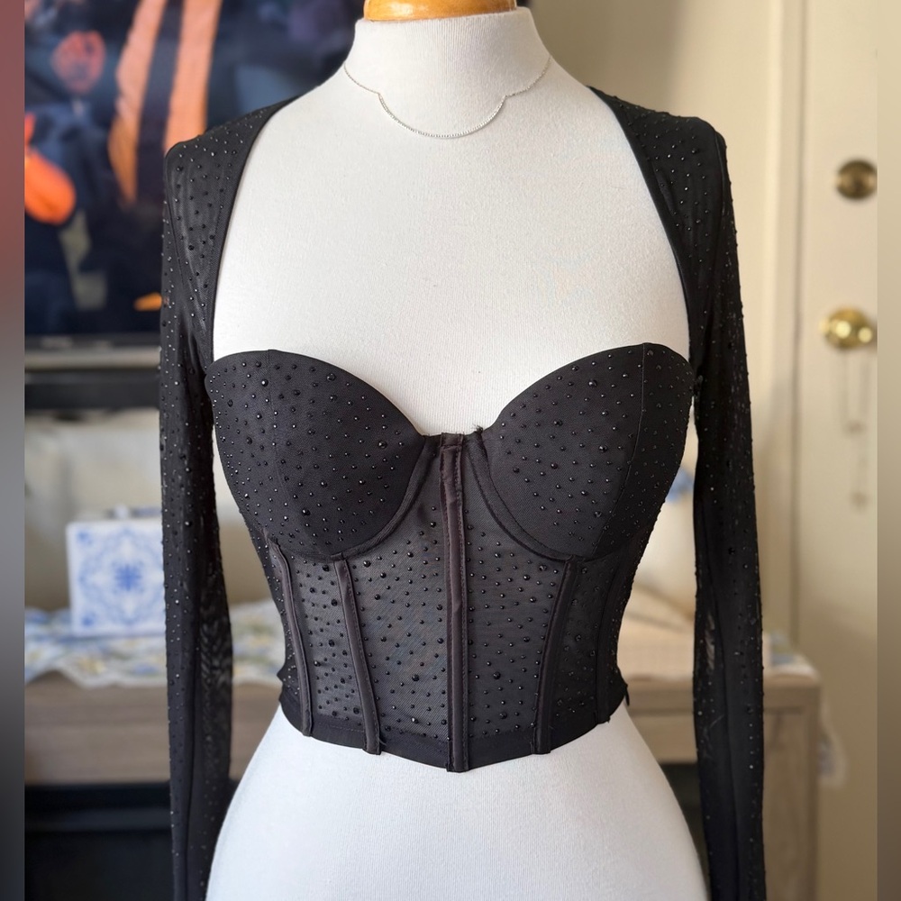 Milk & Honey Black Sheer Long Sleeve Bustier Top